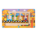 Magnetic Sorting Games Montessori Puzzle Toys Maze Board Learning Color Montessori