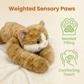 50/60/65cm Long Arm Stuffed Animal Arm Weighted Soft Plush Pillow Raccoon Koala Bear