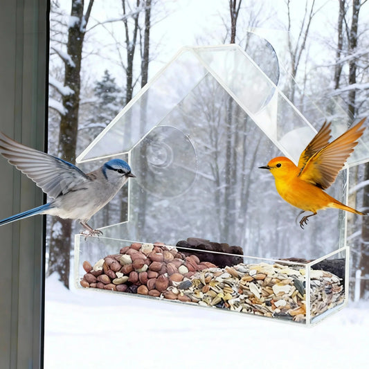 1A@ Bird Feeder Clear Window Outside Hanging Bird Feeder House with Suction Cup for
