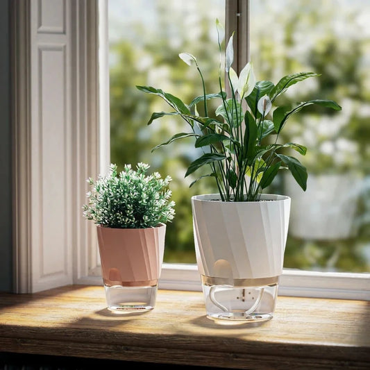 Transparent Double Layer Self Watering Planter, Automatic Water Absorbing Hydroponic