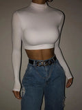 Basic Sheath Women Solid Turtleneck Tshirt Autumn Stretch Casual Undershirt Female