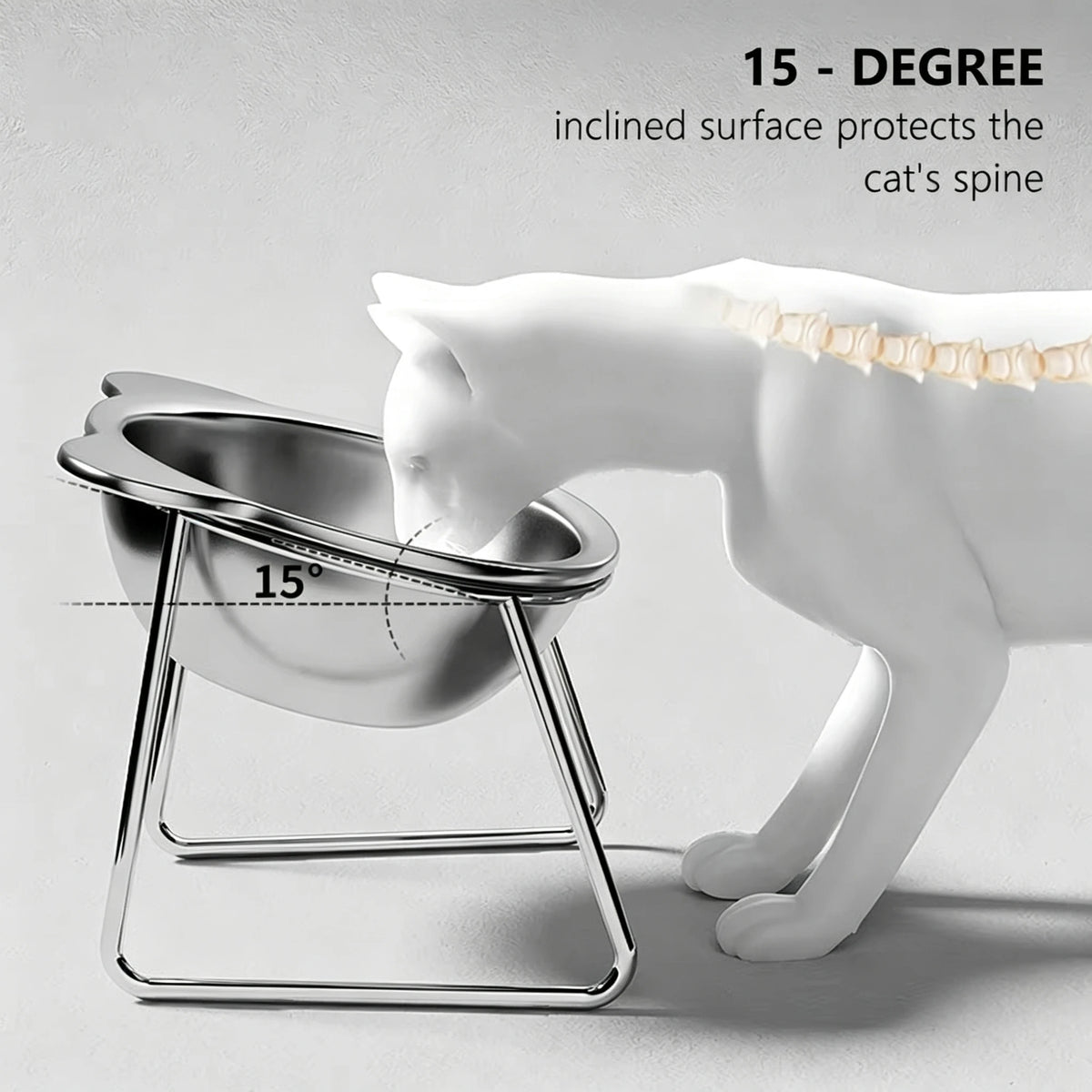 304 Stainless Steel Raised Cat Bowl with 15 Elevated Design Tilted Neck Guard Healthy