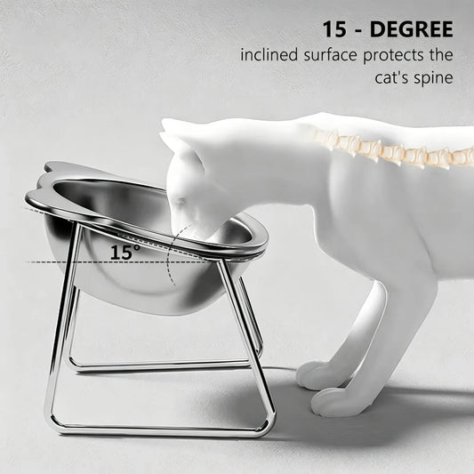 304 Stainless Steel Raised Cat Bowl with 15 Elevated Design Tilted Neck Guard Healthy